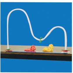 이미지 상세보기